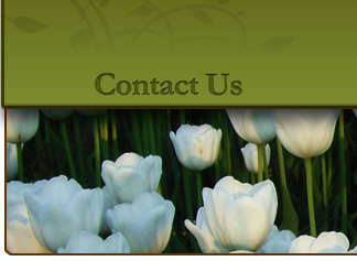 Contact Landscaping by Huffman in Traverse City, Michigan