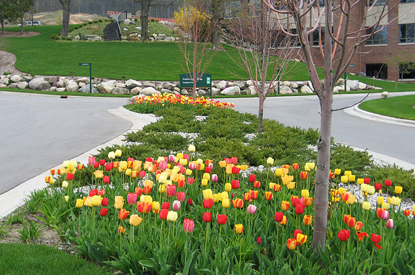 Best Landscaper in Traverse City, Northern Michigan