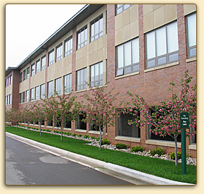 Best Landscaper in Traverse City, Northern Michigan