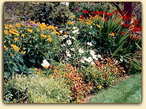 Landscape Design in Traverse City, Michigan - Northern Michigan's Best Landscape Designer's Flowers