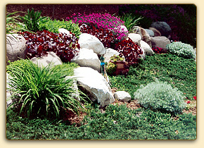 Traverse City Landscape Design